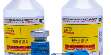 PPR-VAC™